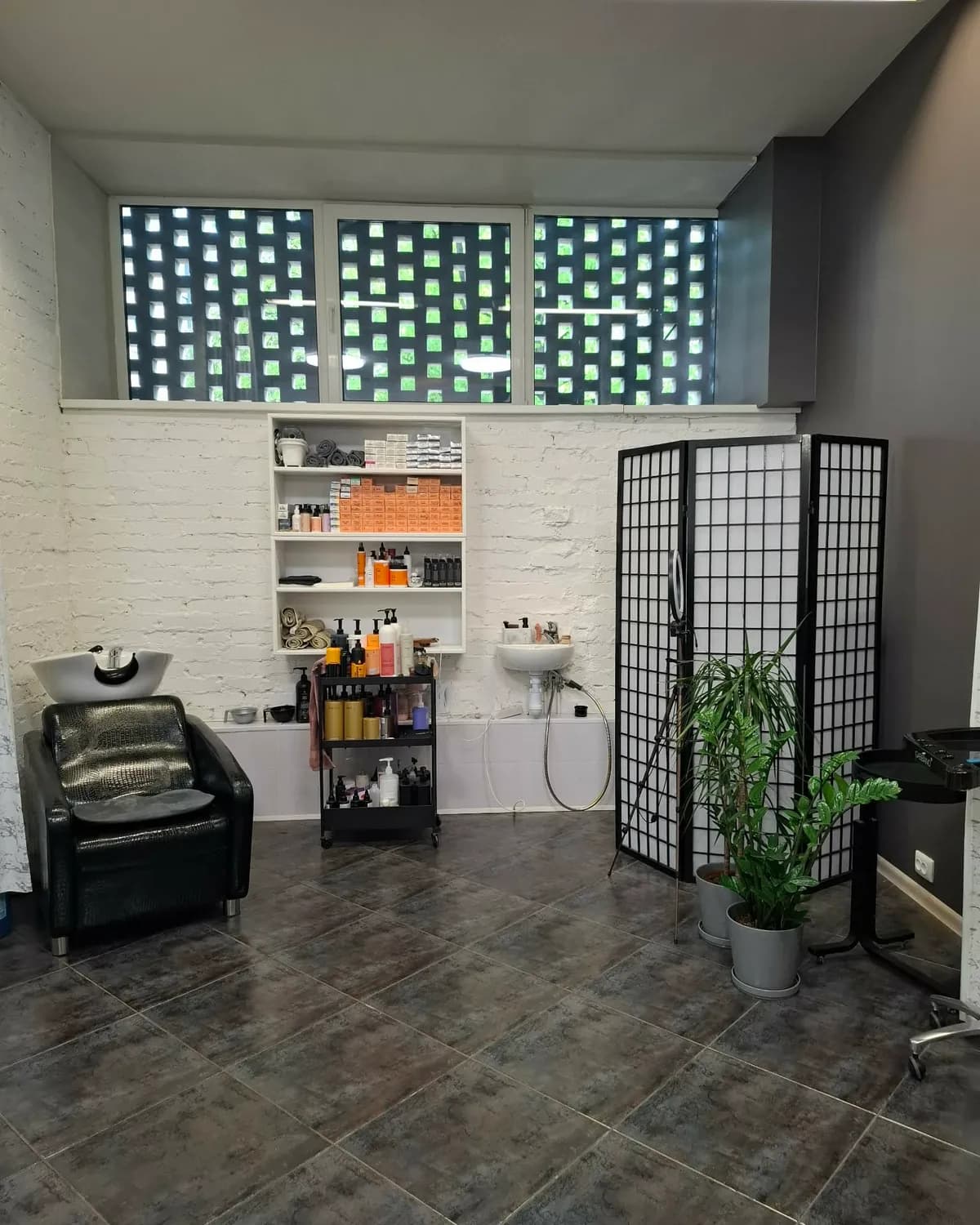 Colorist Beauty Salon pesukoht: juuksepesutool, hooldustooted riiulil ja rohelus